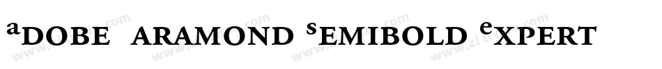 Adobe Garamond Semibold Expert字体转换